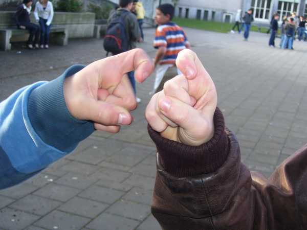 speel477.jpg