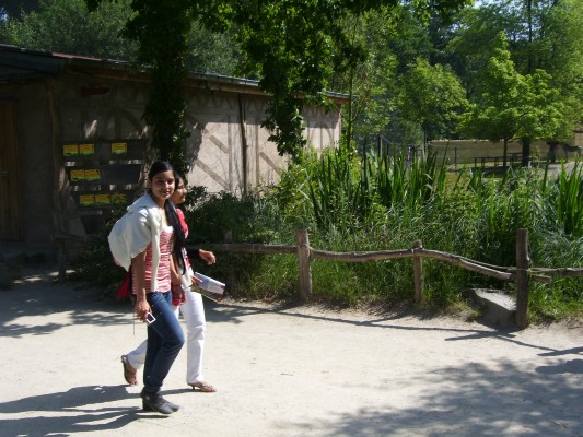 Planckendael063.JPG