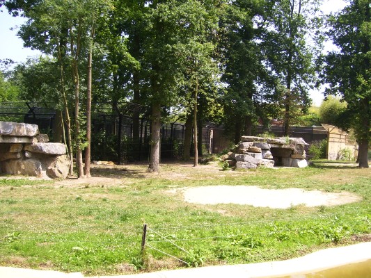 Planckendael097.JPG