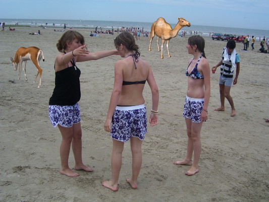 Blankenberge2010_063.JPG