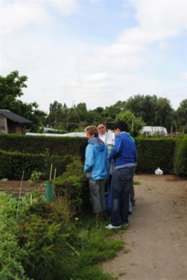 volkstuinKV71.jpg