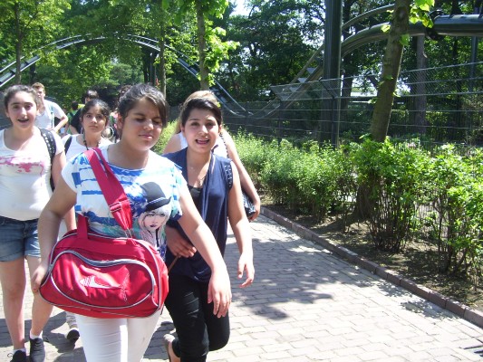 100_2487.JPG