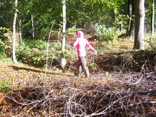 bosklas1A039.JPG