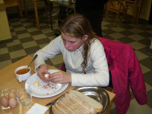 bosklas_1B12_16.JPG