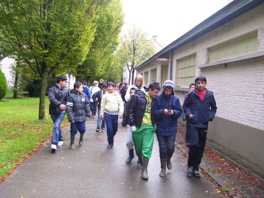 Bosklas1B_016.JPG