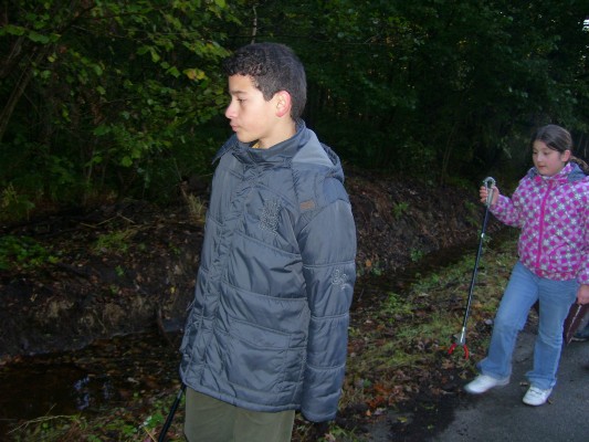 Bosklas1B_041.JPG