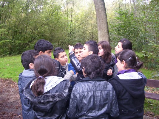 Bosklas1B_064.JPG
