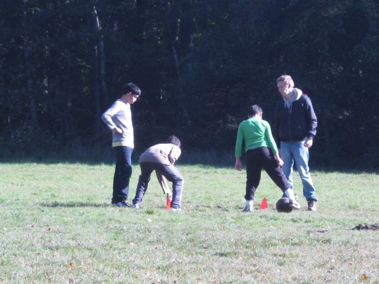 bosklassen1B345_220.jpg