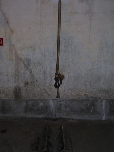 nmo57.JPG