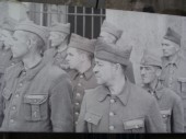 nmo44.JPG