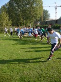 Veldloop44.JPG