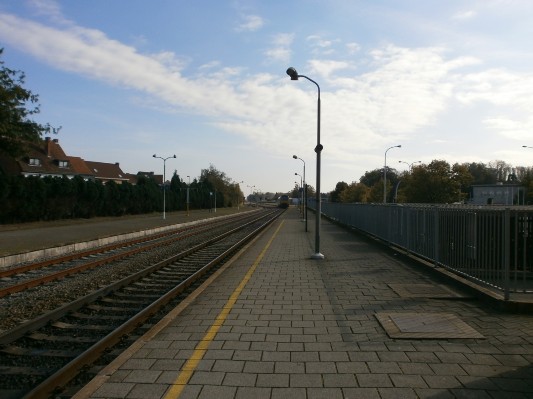 bosklassen1AB163.JPG
