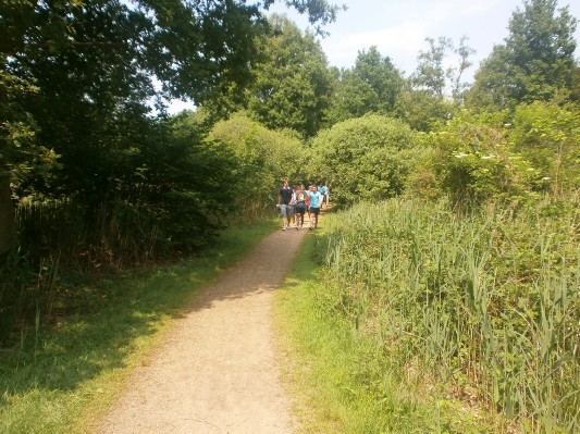 hazewinkel022.JPG
