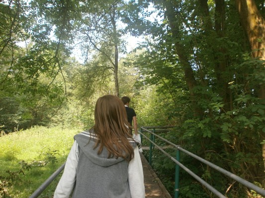 hazewinkel039.JPG