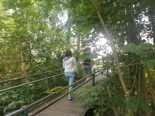 hazewinkel040.JPG