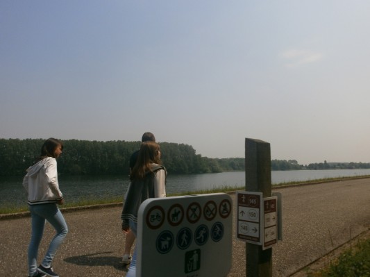 hazewinkel042.JPG