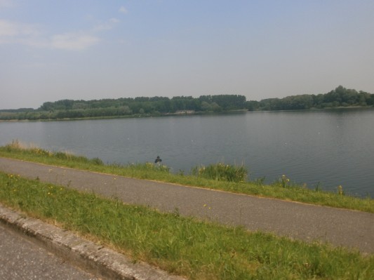 hazewinkel046.JPG