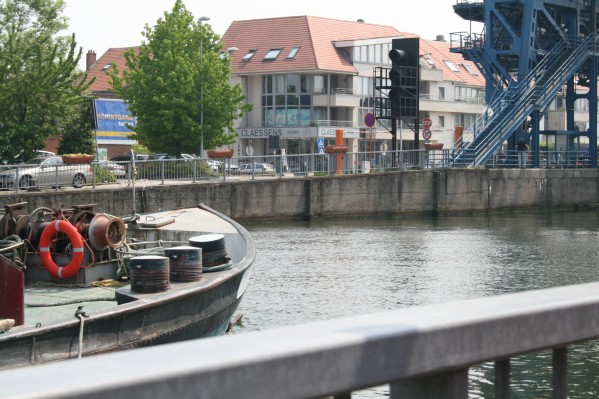 hazewinkel116.JPG