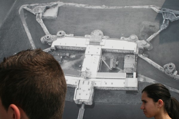 hazewinkel124.JPG
