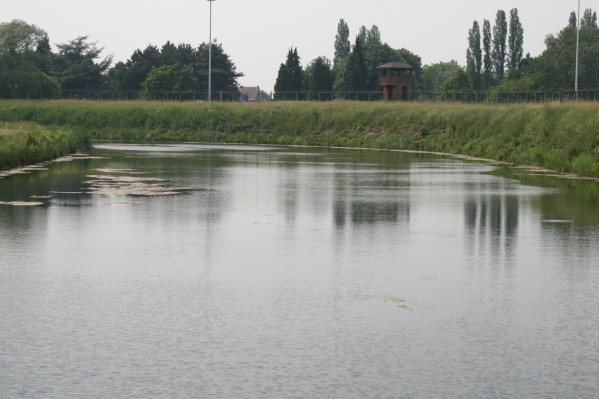 hazewinkel127.JPG