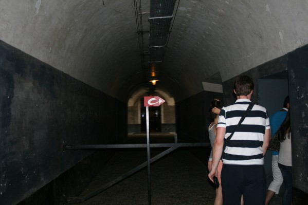 hazewinkel133.JPG
