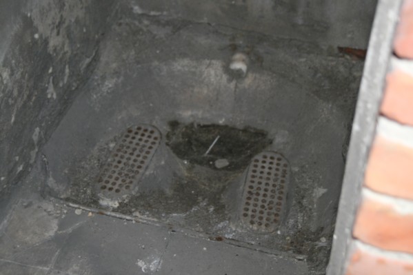 hazewinkel147.JPG