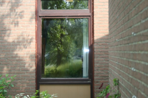 hazewinkel019.JPG
