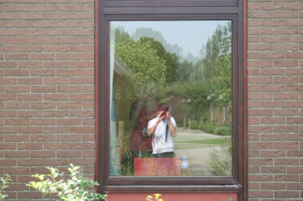 hazewinkel020.JPG