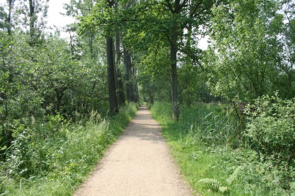 hazewinkel022.JPG