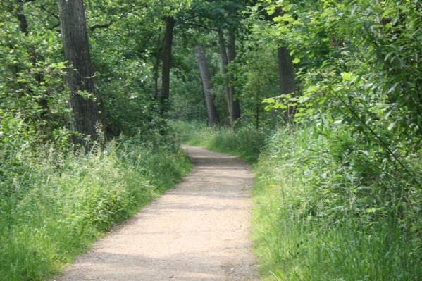 hazewinkel025.JPG