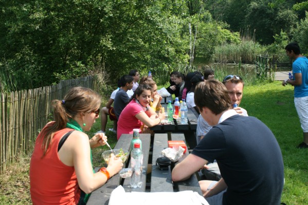 hazewinkel031.JPG