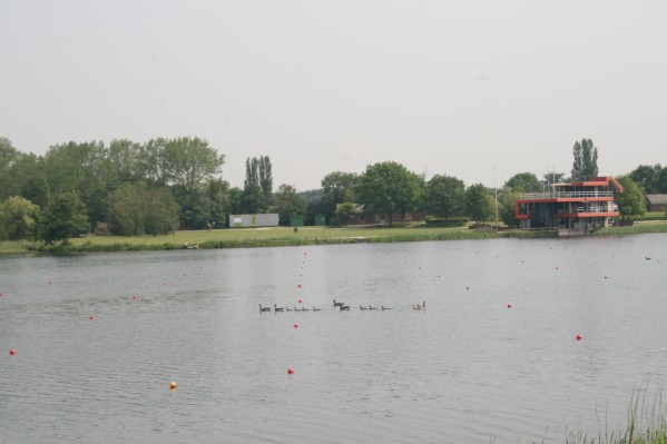 hazewinkel065.JPG