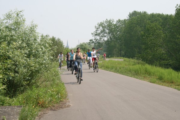 hazewinkel082.JPG