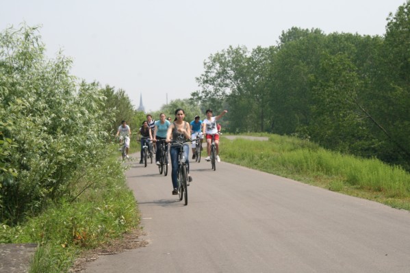 hazewinkel083.JPG
