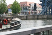 hazewinkel116.JPG