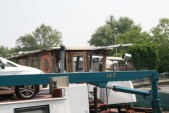 hazewinkel120.JPG