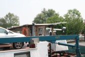 hazewinkel121.JPG