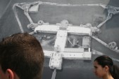 hazewinkel124.JPG