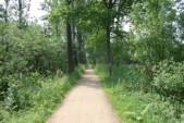 hazewinkel022.JPG