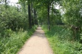 hazewinkel023.JPG