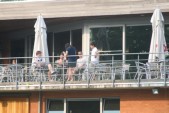 hazewinkel462.JPG