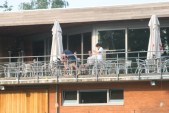 hazewinkel463.JPG