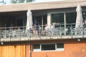 hazewinkel466.JPG