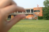 hazewinkel469.JPG