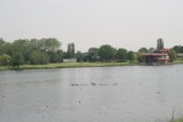 hazewinkel065.JPG
