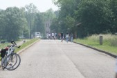 hazewinkel068.JPG