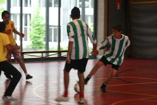 opendag240.JPG