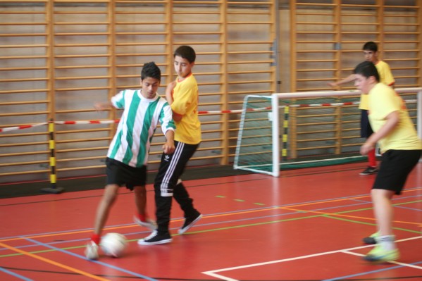 opendag242.JPG