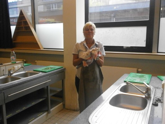 opendag265.JPG