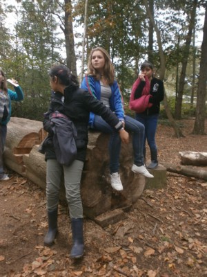 bos1A113.JPG